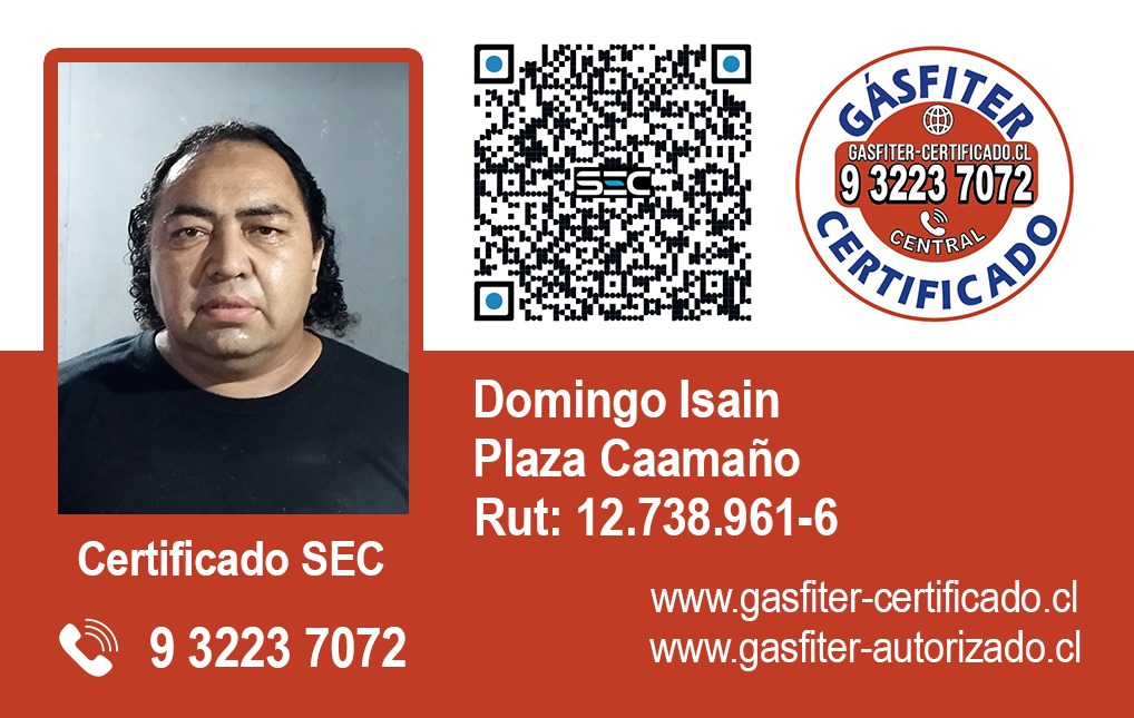 Gasfiter Certificado Autorizado SEC Domingo Isain 